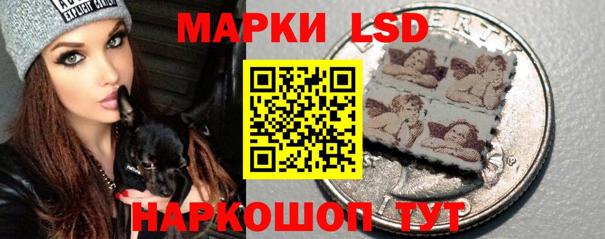 LSD-25 экстази кислота  Вход с VPN  ЛСД экстази кислота  Бердск 