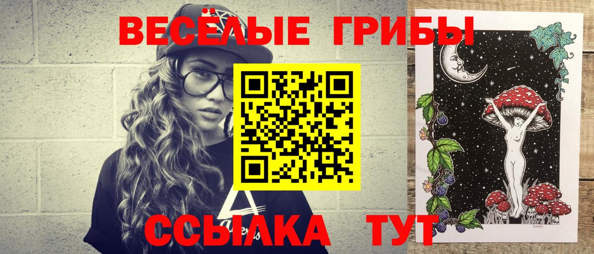 Псилоцибиновые грибы Psilocybe  Вход с VPN  Бердск 