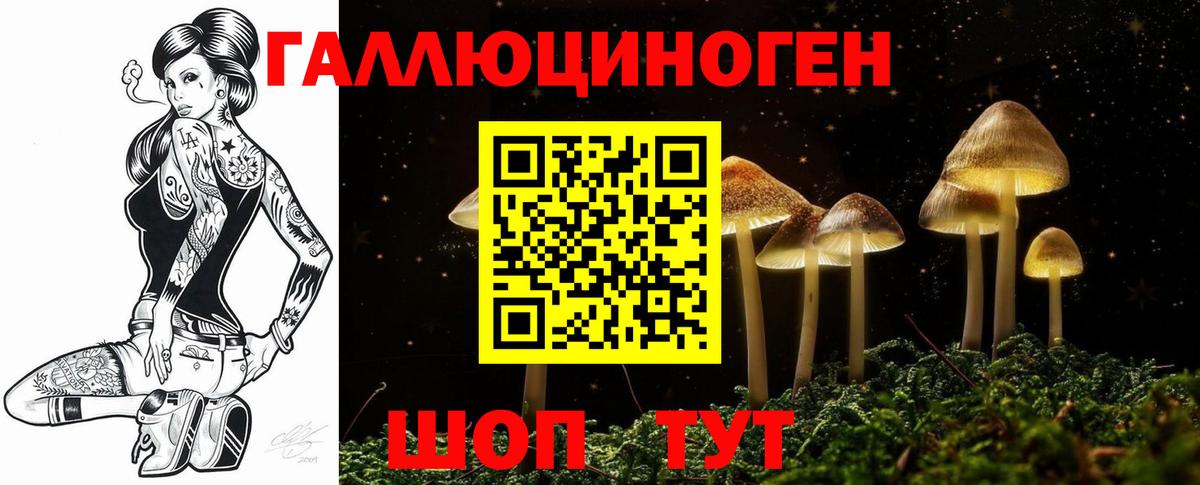 Галлюциногенные грибы Magic Shrooms Бердск